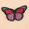 Computerized Embroidery Cloth Iron on/Sew on Patches X-DIY-F038-A01-1