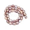 Natural Cultured Freshwater Pearl Beads Strands PEAR-P064-20C-02B-3