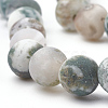 Natural Tree Agate Beads Strands G-T106-036-2