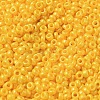 Baking Paint Glass Seed Beads SEED-P006-03A-04-3