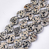 Natural Dalmatian Jasper Beads Strands X-G-S354-05-1