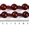 Natural Carnelian 3-Hole Guru Beads Strands G-H064-E08-02A-5