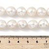 Natural Edison Pearl Beads Strands PEAR-B004-01A-05A-5