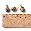 Electroplate Natural Dalmatian Jasper Charms G-S344-09C-4