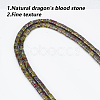 2 Strands Natural Dragon Blood Jasper Beads Strands G-GO0001-44-3