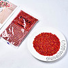 FGB Glass Seed Beads SEED-S056-006-2