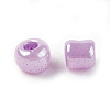 DIY Craft Beads 6/0 Ceylon Round Glass Seed Beads X-SEED-A011-4mm-155-3