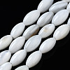 Natural Freshwater Shell Beads Strands SHEL-Q024-021-1
