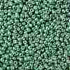 TOHO Round Seed Beads X-SEED-TR08-PF0561-2