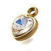 304 Stainless Steel with Rhinestone Pendants STAS-Q346-01G-04-3