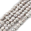 Natural Cultured Freshwater Pearl Beads Strands PEAR-P064-19J-03C-2