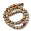 Natural Aqua Terra Jasper Beads Strands G-E444-14B-12mm-2
