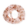 Natural Black Gold Rutilated Quartz Beads Strands G-N342-21B-01-3