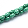 Natural Malachite Beads Strands G-D0011-09A-1