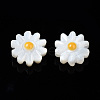 Natural Freshwater Shell Beads SHEL-N003-20B-01-2