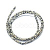 Natural Dalmatian Jasper Beads Strands G-F631-B07-2