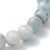 Natural Larimar Round Beads Stretch Bracelets for Women Men BJEW-JB13382-02-4