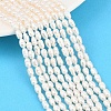 Natural Cultured Freshwater Pearl Beads Strands PEAR-F020-08-1