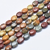 Natural Polychrome Jasper/Picasso Stone/Picasso Jasper Beads Strands G-E444-46B-2