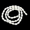 Natural Trochus Shell Beads Strands BSHE-E030-02A-3