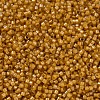MIYUKI Delica Beads X-SEED-J020-DB0272-3