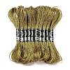 10 Skeins 12-Ply Metallic Polyester Embroidery Floss OCOR-Q057-A06-1