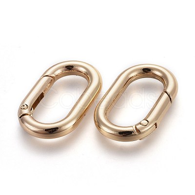 Zinc Alloy Key Clasps PALLOY-WH0056-02LG-1