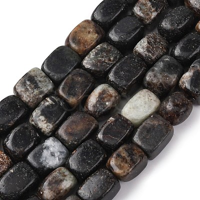 Natural Biotite Beads Strands G-D098-D15-1