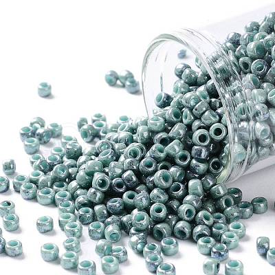 TOHO Round Seed Beads SEED-JPTR08-1207-1