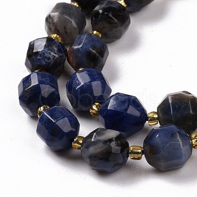 Natural Sodalite Beads Strands with Seed Beads G-G990-E01-1