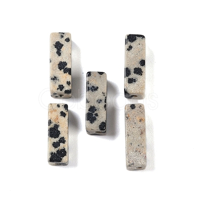 Natural Dalmatian Jasper Beads LS-G-G137-01N-1