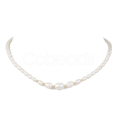 Natural Cultured Freshwater Pearl Necklaces for Women NJEW-JN05940-1