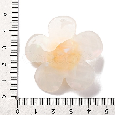 Acrylic Pendants OACR-Q055-03A-1