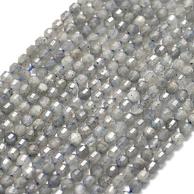 Natural Labradorite Beads Strands G-A260-A44-01A-1