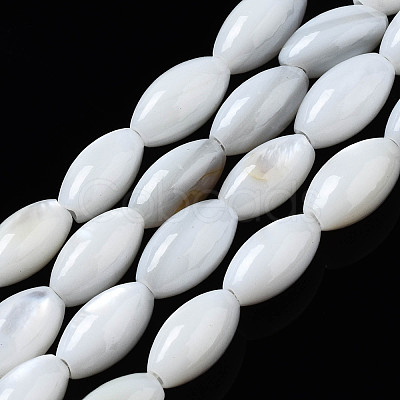 Natural Freshwater Shell Beads Strands SHEL-Q024-021-1