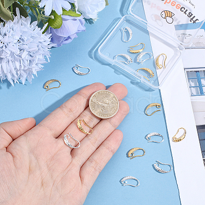 10 Pairs Brass Earring Hooks KK-BBC0027-77C-1