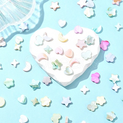 60Pcs 6 Styles Macaron Color Natural Shell Dyed Beads BSHE-CJ0001-13-1
