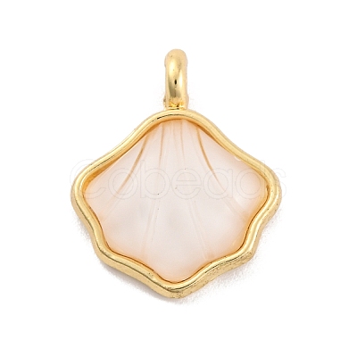 Alloy Resin Pendants FIND-U007-13G-1