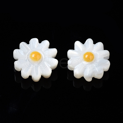 Natural Freshwater Shell Beads SHEL-N003-20B-01-1