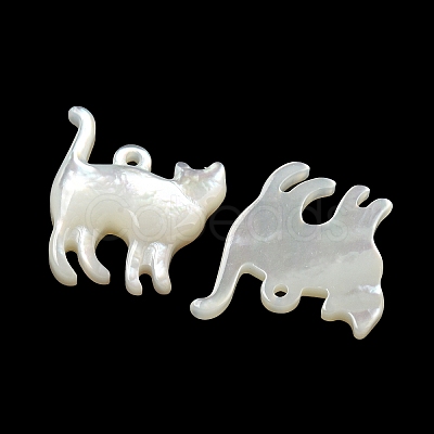 Natural White Shell Pendants SSHEL-N038-05A-01-1