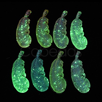 Transparent Acrylic Pendant MACR-D024-38-1