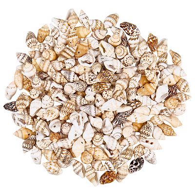 165g Natural Shell Pendants SHEL-PA0001-05-1