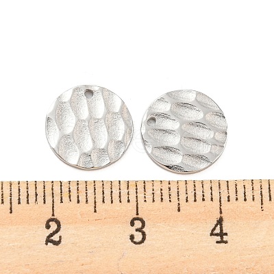 Non-Tarnish 304 Stainless Steel Charms STAS-P333-06P-1