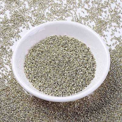 MIYUKI Delica Beads X-SEED-J020-DB1831-1