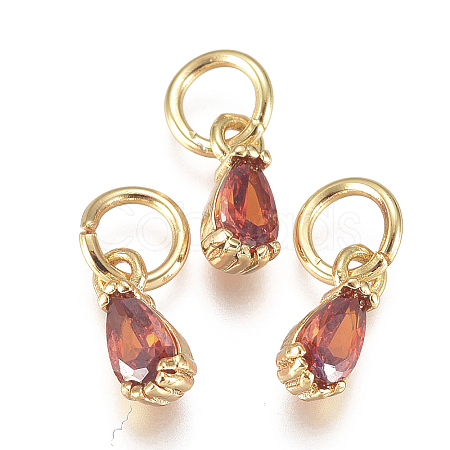 Brass Micro Pave Cubic Zirconia Charms ZIRC-F111-04G-06-1