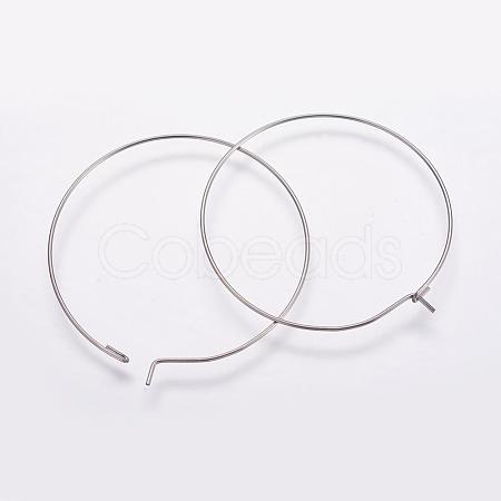 316 Surgical Stainless Steel Hoop Earrings Findings STAS-K146-039-40mm-1