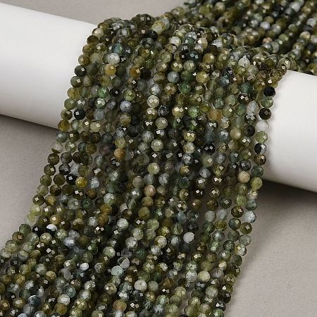 Natural Green Tourmaline Beads Strands G-F798-A03-02-1