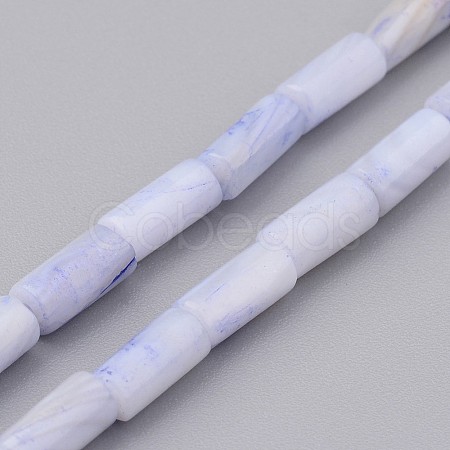 Natural Shell Bead Strands BSHE-P016-04-1