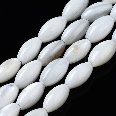 Natural Freshwater Shell Beads Strands SHEL-Q024-021-1