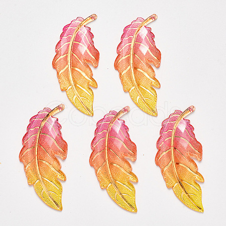 Transparent Acrylic Big Pendants X-TACR-R140-03F-1